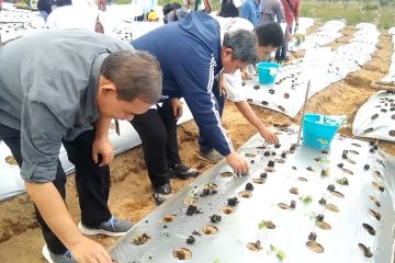 Teknologi Soil Block untuk ketahanan pangan negeri