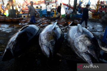 Menkeu: Pendapatan negara naik 48,1 persen cerminkan kondisi ekonomi