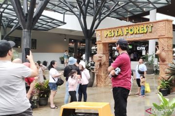 Taman Safari Bogor ramai pengunjung, peningkatan hingga 85 persen