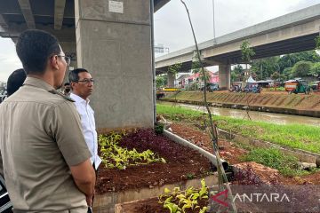DKI Jakarta gencarkan pertanian perkotaan