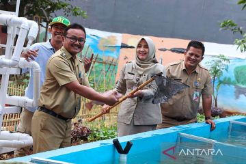 Jaksel bangun taman ketahanan pangan di Pejaten Barat