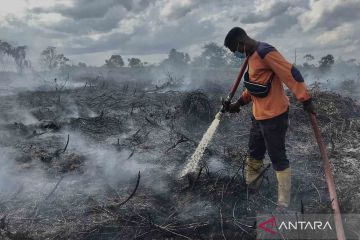 Upaya pemadaman kebakaran hutan dan lahan di Pangkalan Bun, Kalimantan Tengah