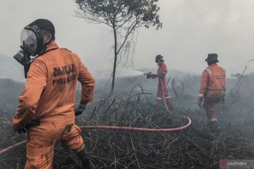 BMKG: Waspadai potensi kebakaran hutan dan lahan di Sumatra