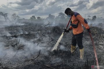 Pemerintah siapkan pencegahan kebakaran gambut lewat modifikasi cuaca