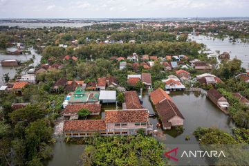 Banjir merendam 103 desa dan 14 kecamatan di kabupaten Demak