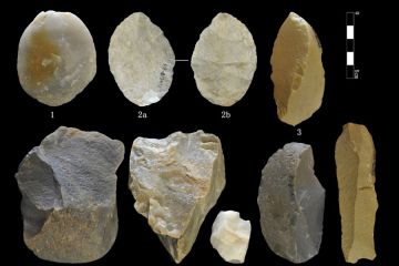 Perkakas batu periode Paleolitikum ditemukan di China utara