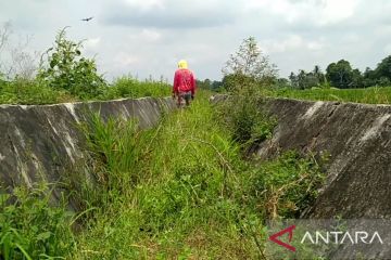 Tanggul irigasi rusak parah ratusan hektare sawah sulit dapatakan air