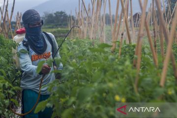 KenaikanNilai Tukar Petani Selama 2022