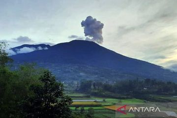 Gunung Marapi Sumbar erupsi tujuh kali hingga Sabtu siang