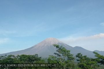 Erupsi dan guguran masih terjadi di Gunung Semeru