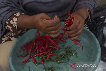 Cuaca Picu Kenaikan Harga Cabai Merah 