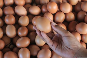 HARGA KEBUTUHAN POKOK DI KOTA KUPANG