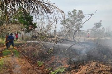 11 ha lahan gambut terbakar di Kotawaringin Barat telah dipadamkan