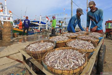 BPJamsostek sebut 486 ribu nelayan terlindungi asuransi hingga 2022