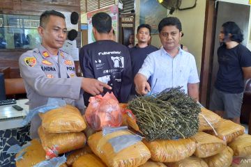 Sebanyak 36 kg ganja ditemukan di perpustakaan SDN Padang Pariaman