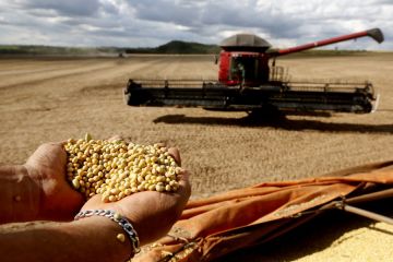 Brasil prediksi produksi biji-bijian raih 310 juta ton lebih 2022-2023