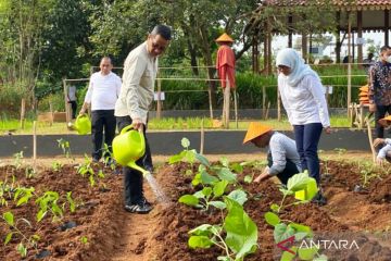 Pemkot Jaksel pakai aplikasi "smart farming" untuk pantau AEW Ragunan