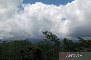 Humaniora sepekan, mulai gempa Tanimbar hingga persiapan ibadah haji