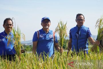 Zulkifli Hasan panen padi perdana 2023 di Mulyaharja Bogor