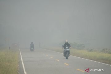 Taman Nasional Rawa Aopa Watumohai di Bombana terbakar