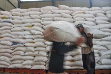 Bulog Jamin Tidak Ada Impor Beras Padang Maret 2023
