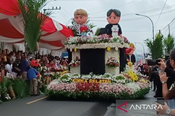 200 ribu tangkai bunga krisan disiapkan untuk festival bunga Tomohon