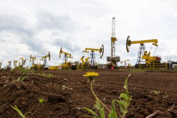 Rusia catat kenaikan produksi minyak meski terkena sanksi Barat
