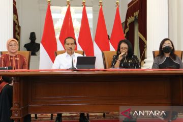 Pemerintahan Jokowi beri perhatian serius pengesahan RUU PPRT jadi UU