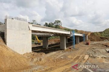 Menjaga hak satwa di tengah tol Aceh yang membelah hutan