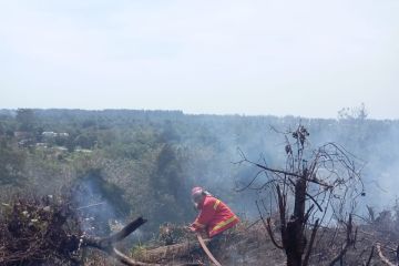BPBK atasi kebakaran lahan di Aceh Jaya