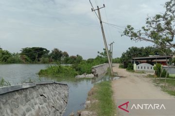 Setahun dibangun, tanggul Sungai Citarum di Muaragembong Bekasi jebol