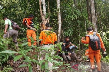 Tim SAR gabungan cari kakek hilang di kebun kayu manis Kerinci