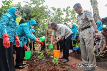 Heru serahkan enam ribu bibit cabai jaga ketahanan pangan