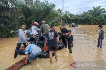 BPBD: Lima kota/kabupaten di Bengkulu terdampak banjir