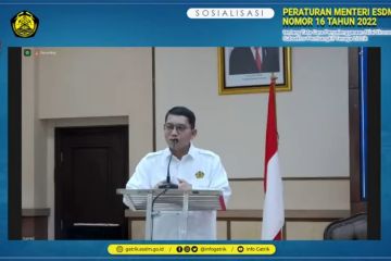 ESDM ungkap alasan terbitkan aturan nilai ekonomi karbon listrik