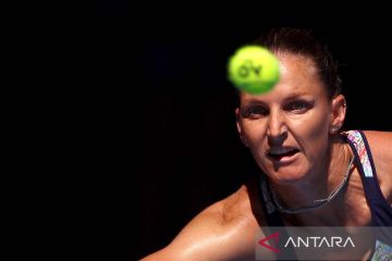 Australian Open: Karolina Pliskova hadapi Magda Linette