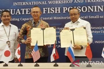 Perairan tiga Gili Lombok bebas keracunan ikan Ciguatera