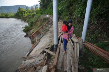 Penyeberangan darurat dari batang kelapa di Padang Pariaman