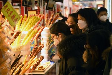 Taman-taman Beijing sajikan puluhan acara budaya saat liburan Imlek