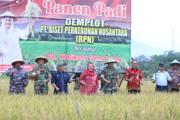 Pemkot Semarang gandeng lembaga riset tingkatkan panen padi