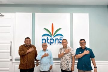 PTPN V akselerasi peremajaan sawit rakyat