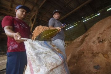Penggunaan Biomassa Untuk Bahan Bakar Substitusi