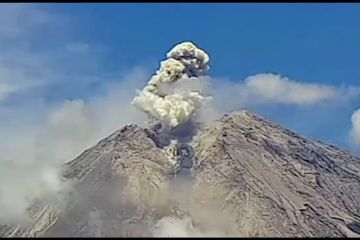 Aktivitas vulkanik Semeru kembali meningkat, warga diimbau waspada