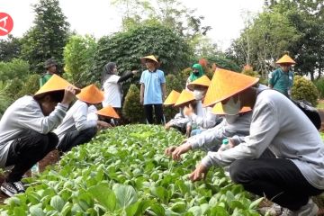 Menjelajah agroeduwisata Ragunan, ada pertanian 4.0