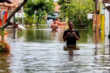 Banjir masih menjadi perjuangan bagi Pekalongan