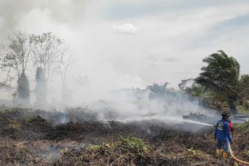 BPBD Kalteng imbau Kabupaten Kota cegah dini Karhutla di tahun 2023