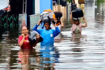 BPBD Kota Pekalongan catat 1200 jiwa mengungsi