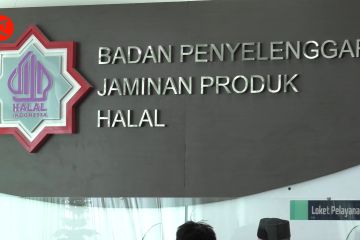 BPJPH dorong pelaku usaha segera urus sertifikat halal produk