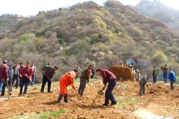 China restorasi lahan bekas tambang di Cagar Alam Xiaoqinling