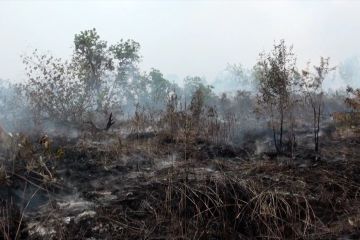 Masuki musim kering, BPBD Palangka Raya ingatkan waspada karhutla